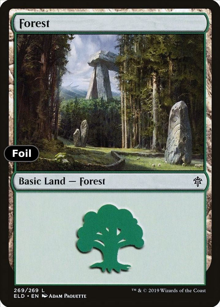 Forest (269)