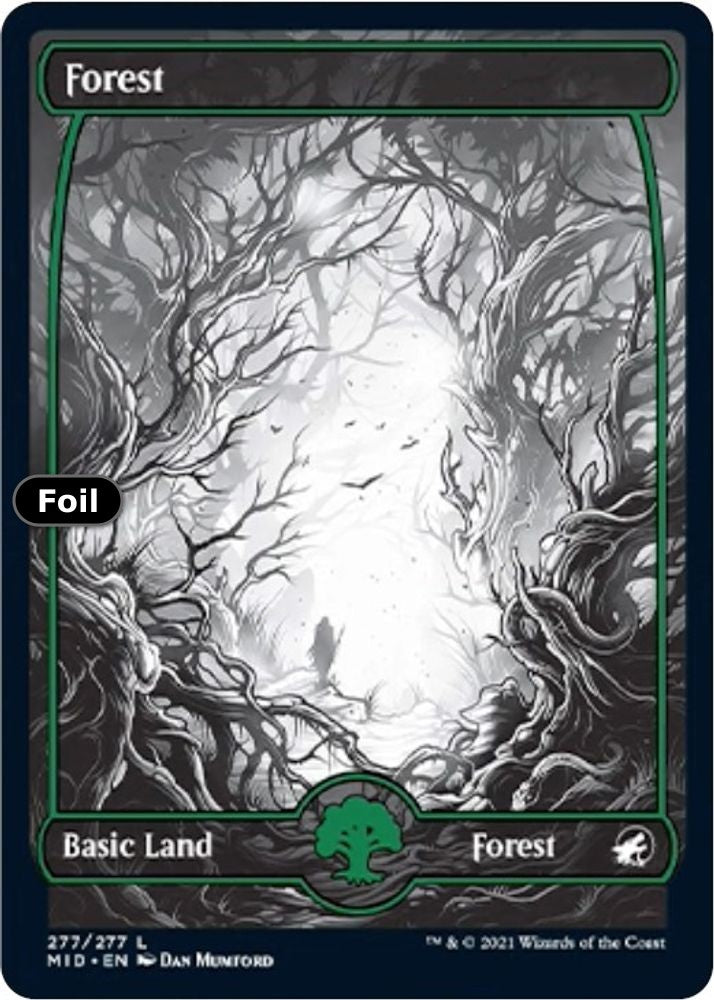 Forest (277)