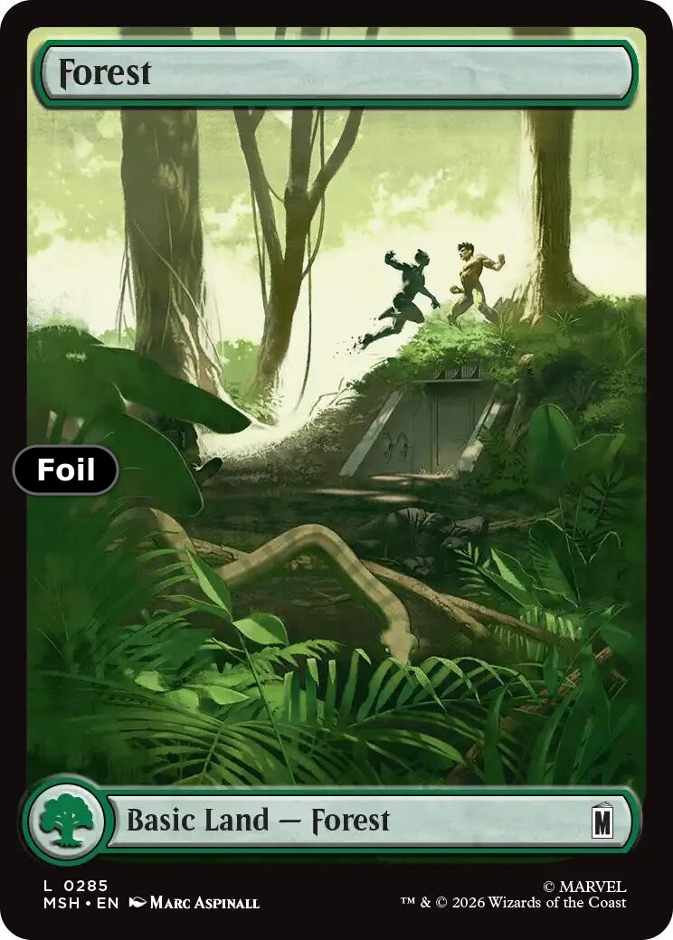 Forest (0285)